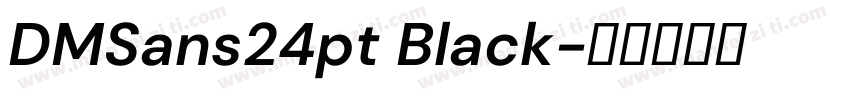 DMSans24pt Black字体转换